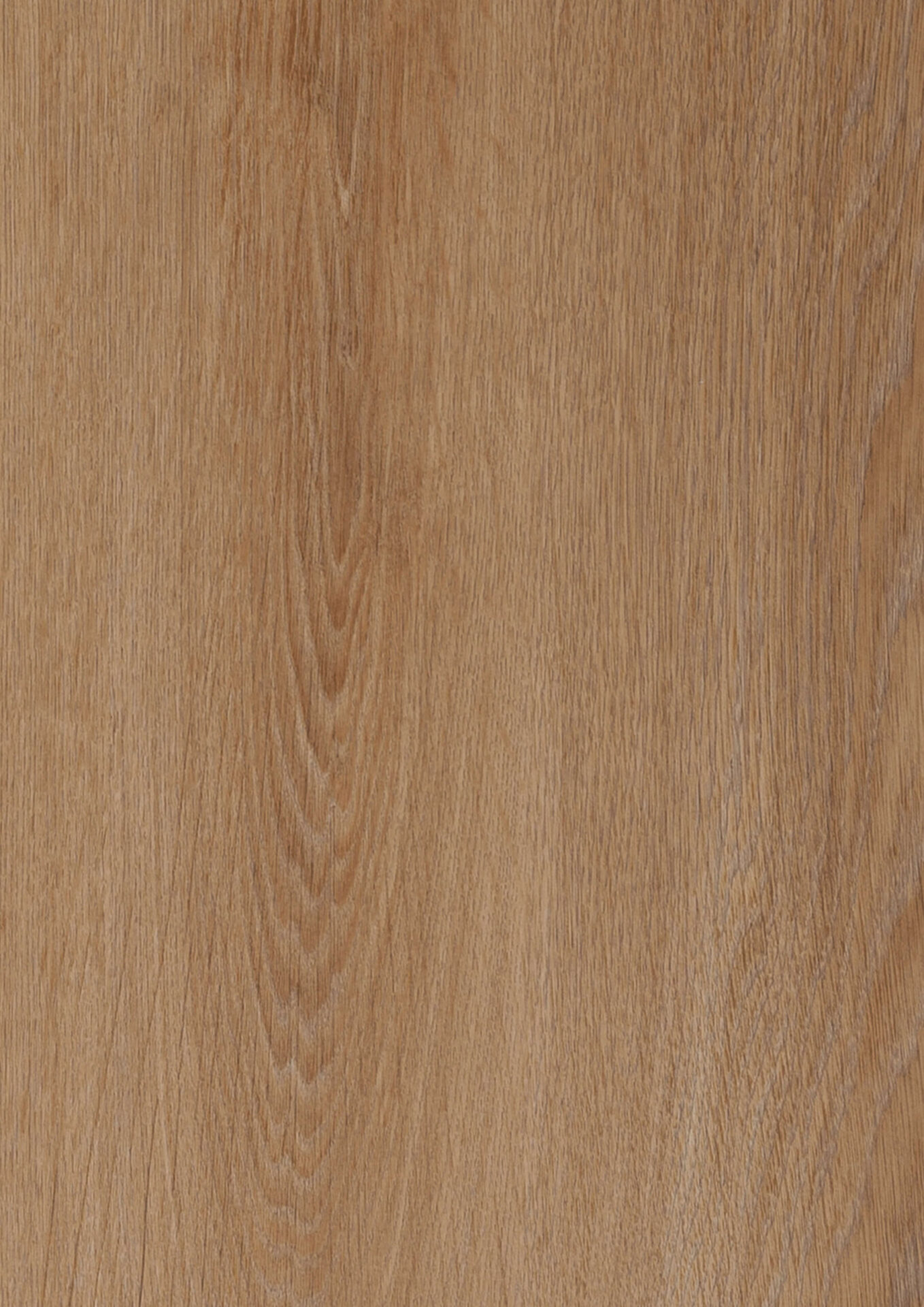 Hickory