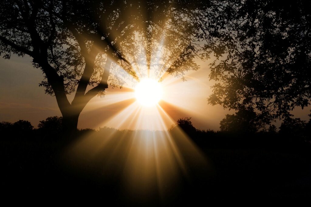 sunlight